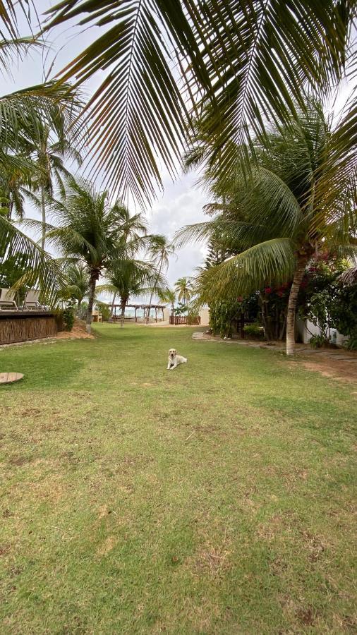 Villa Maui Icaraizinho Eksteriør billede